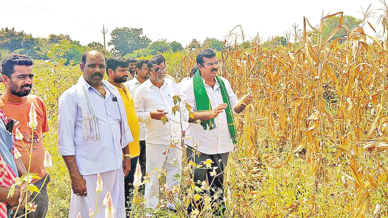 కరువు మండలాల ప్రకటనలోనూ రాజకీయమా?