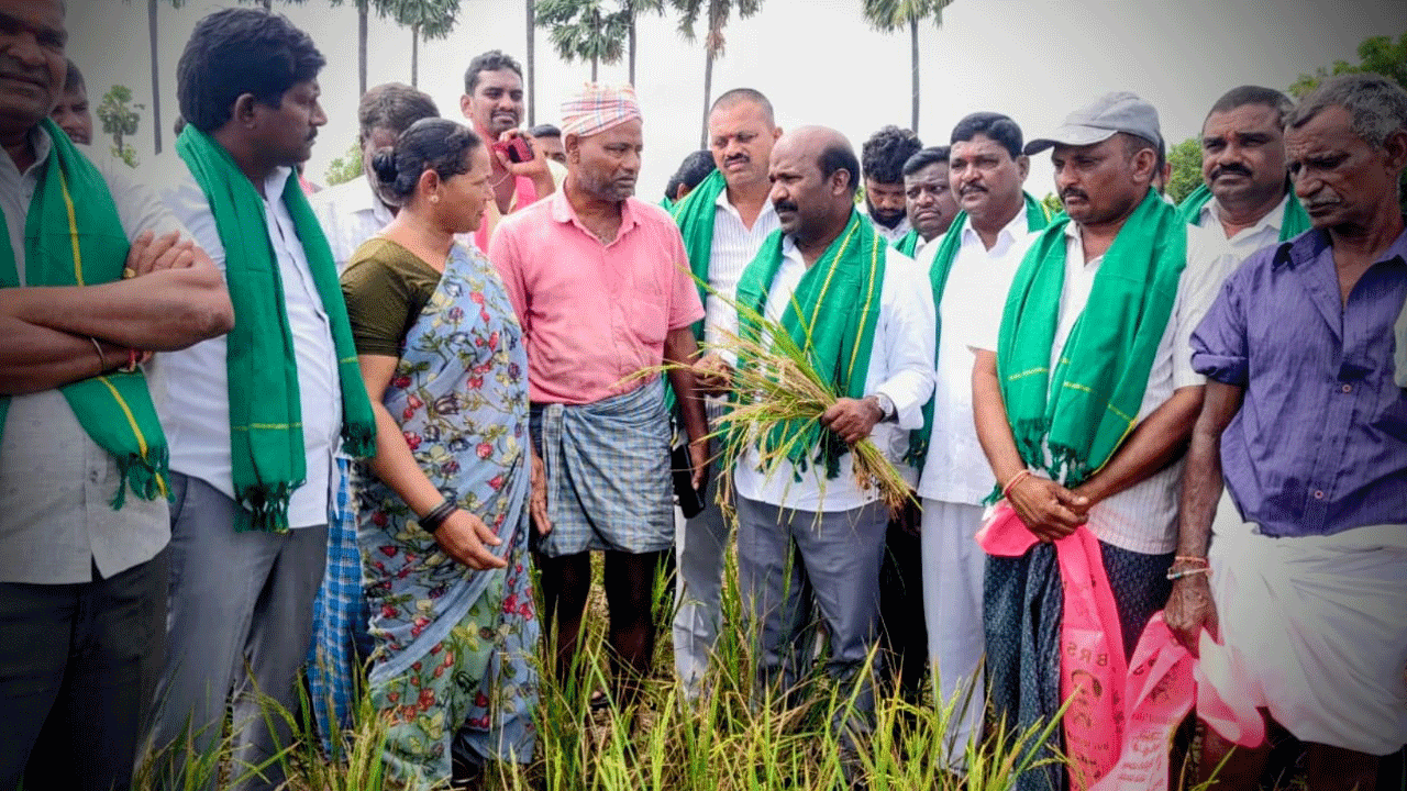 Chirumarthi Lingaiah | ఎండిపోయిన పంట పొలాలను పరిశీలించిన మాజీ ఎమ్మెల్యే చిరుమర్తి లింగయ్య