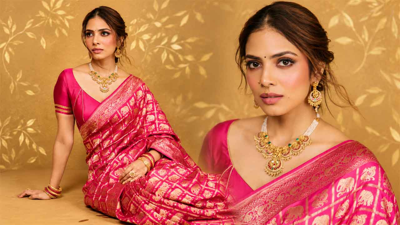 నవరాత్రి వేడుకల్లో మాళవిక మోహనన్‌ సందడి.. రాయల్‌ లుక్‌లో ఫొటో గ్యాలరీ!