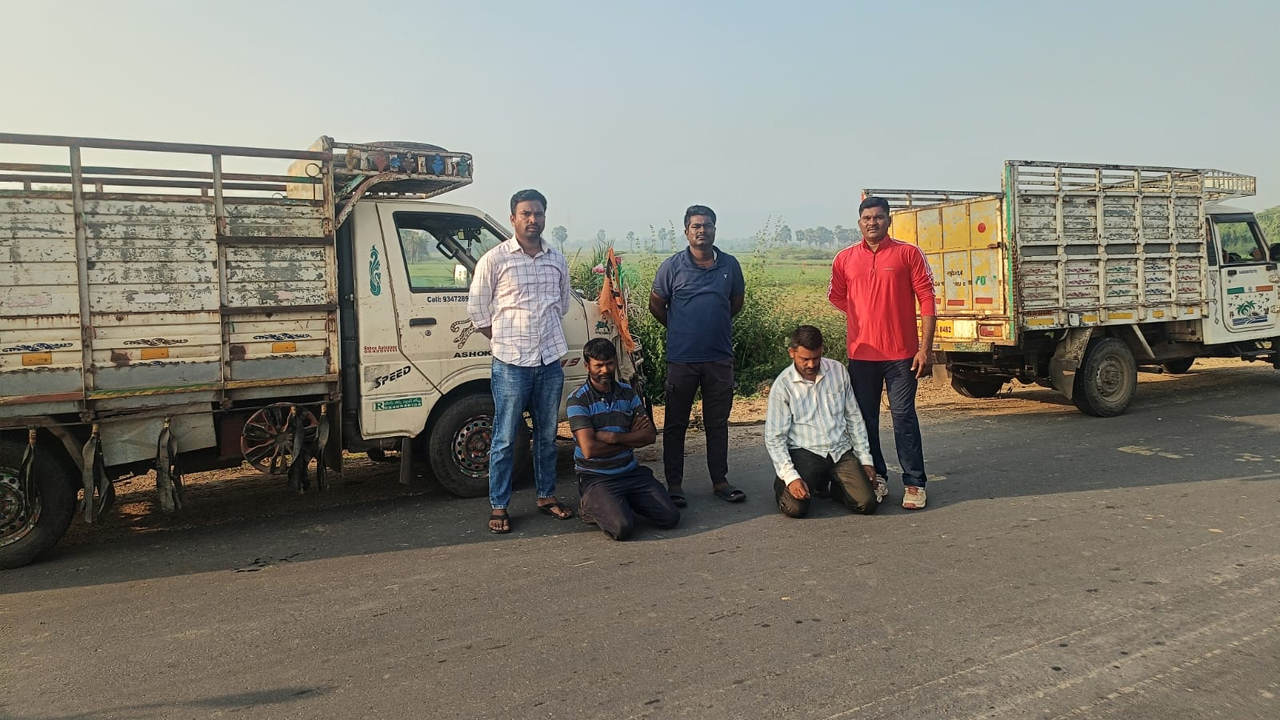 Manthani | మంథనిలో అక్రమంగా తరలిస్తున్న 11 ఆవులు పట్టివేత