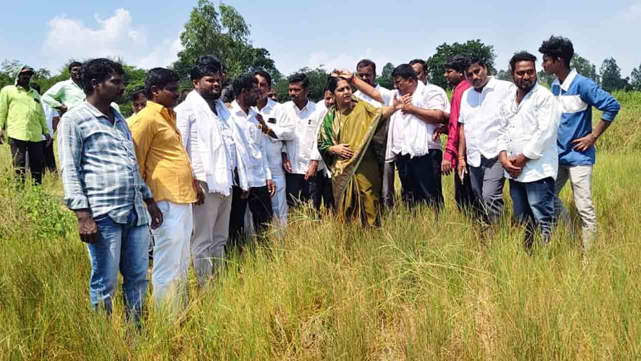 Sunitha Lakshma Reddy | పంట నష్టపోయిన రైతులకు పరిహారం అందించాలి : ఎమ్మెల్యే సునీత లక్ష్మారెడ్డి