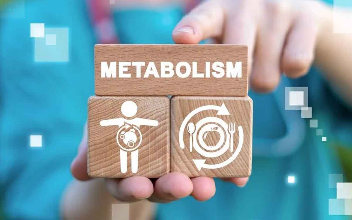 Metabolism | శ‌రీరంలో జీవ‌క్రియ‌లు మంద‌గించిన‌ప్పుడు క‌నిపించే ల‌క్ష‌ణాలు ఇవే.. ఏం చేయాలంటే..?