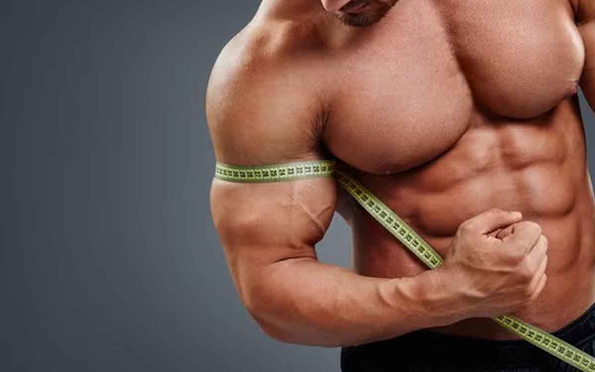Muscle Growth | 30 ఏళ్లు దాటిన త‌రువాత కండ‌రాల నిర్మాణం సాధ్యం కాదా.. నిపుణులు ఏం చెబుతున్నారు..?