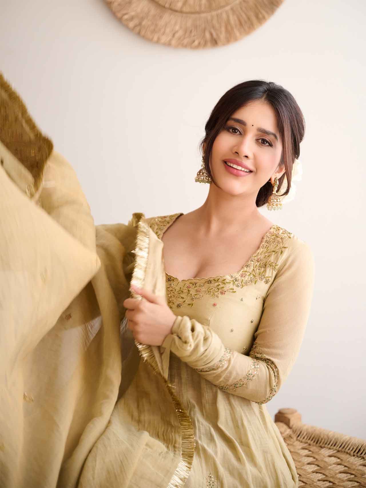 Nabha Natesh