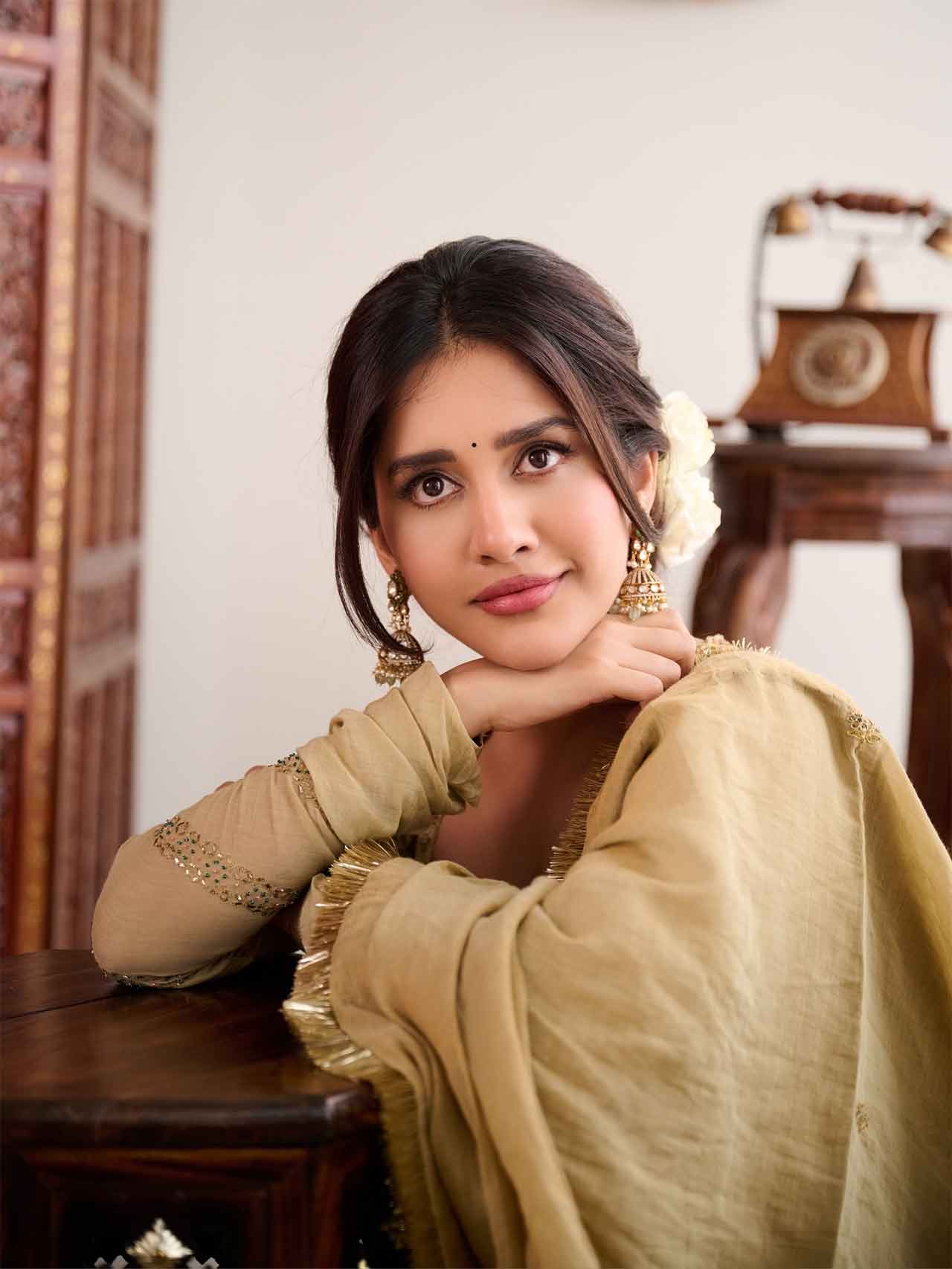 Nabha Natesh2