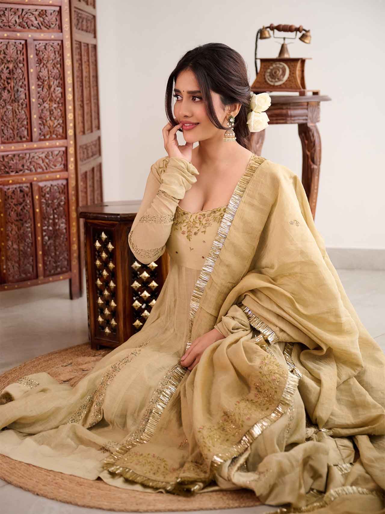 Nabha Natesh4