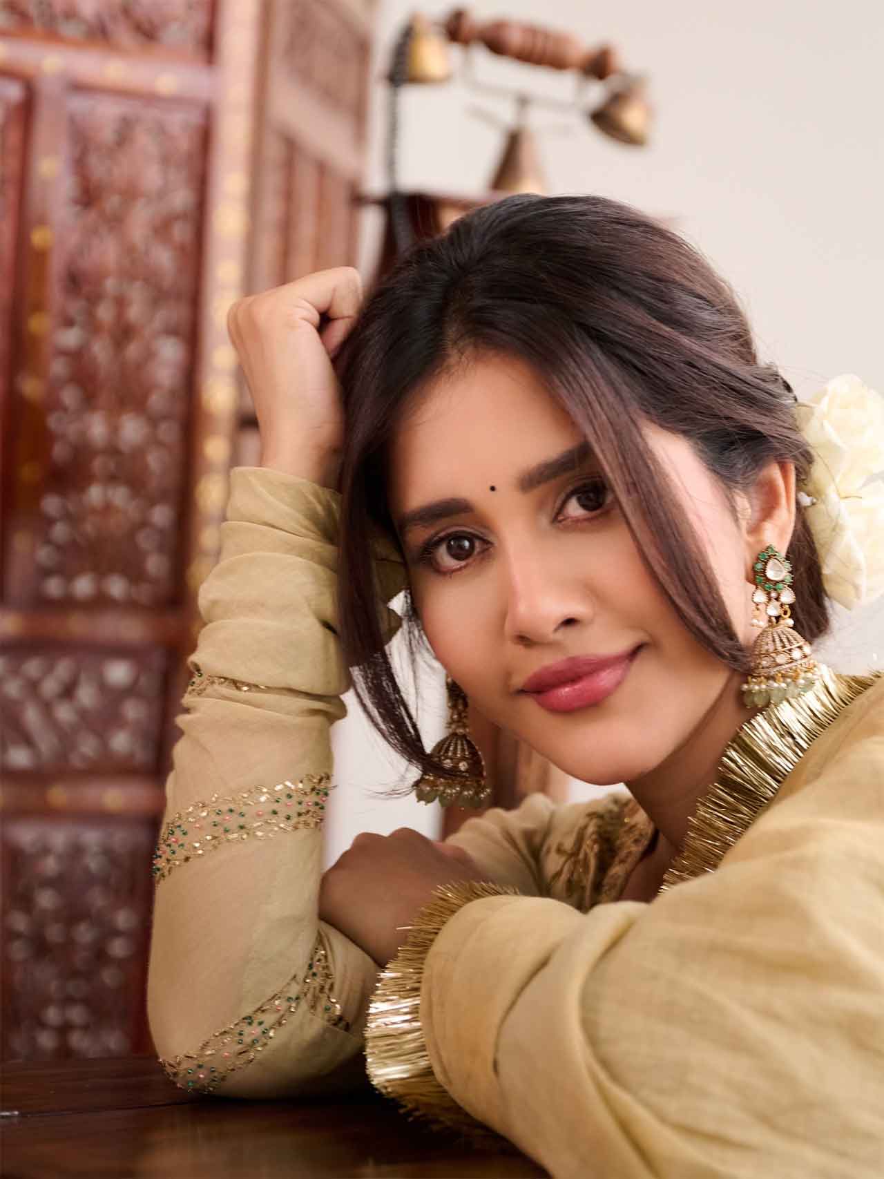 Nabha Natesh5