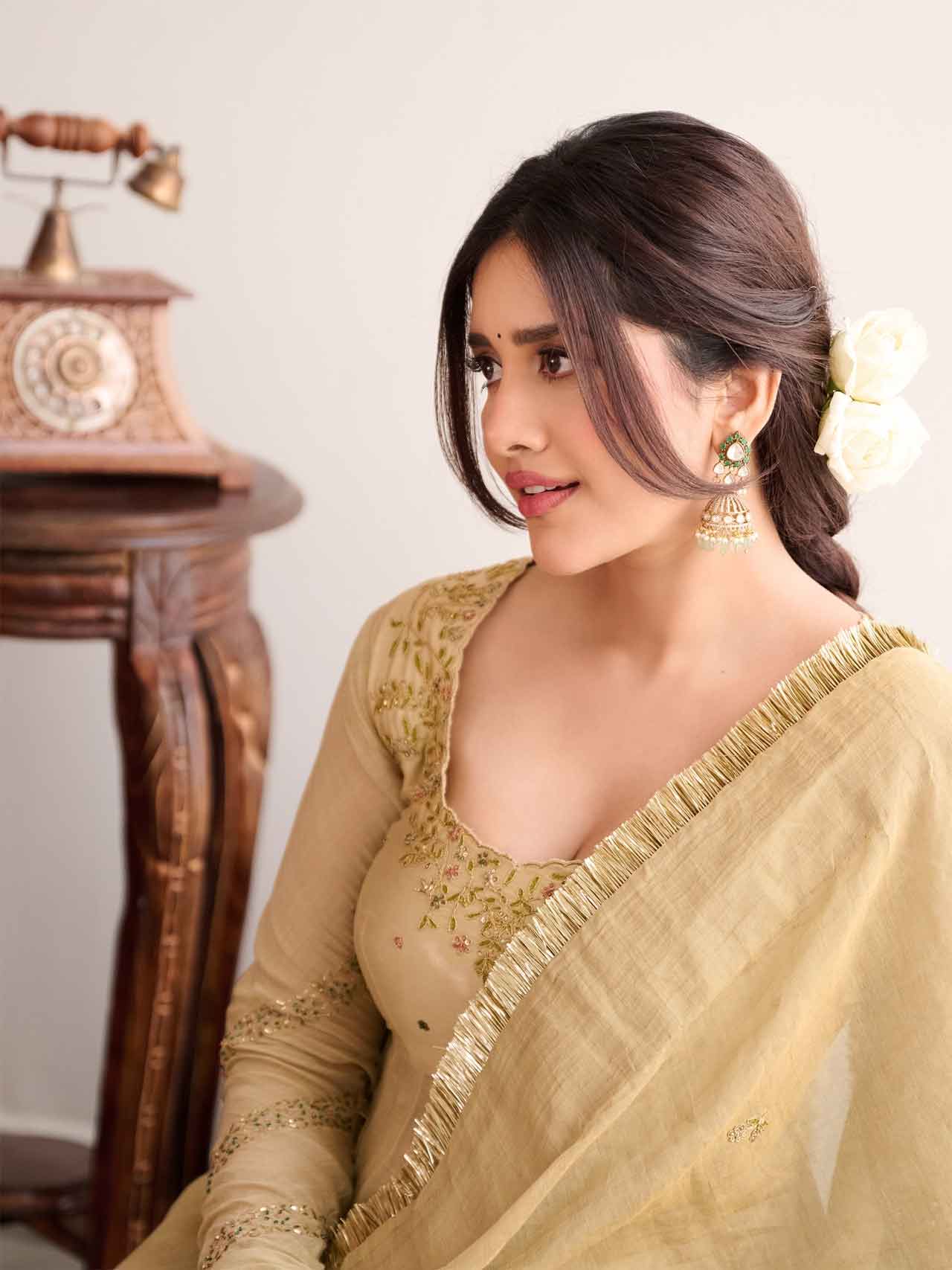 Nabha Natesh6