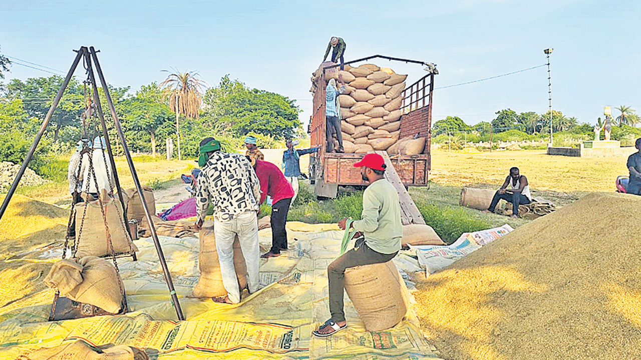సన్నధాన్యం తన్నుకుపోతున్నరు