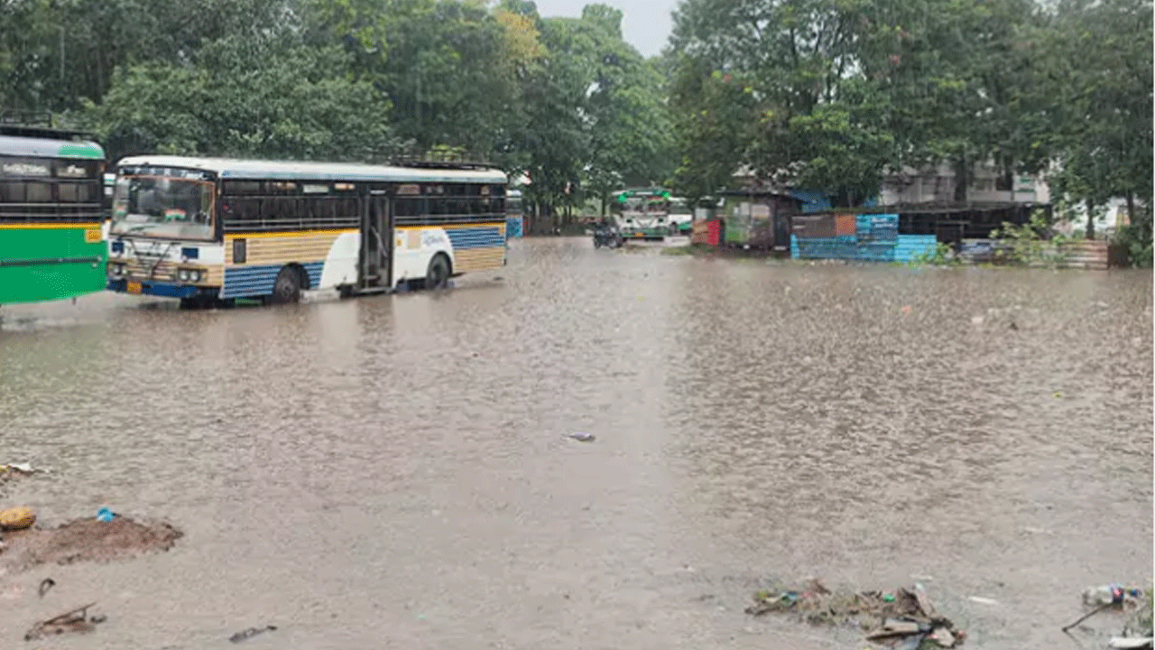 AP News |  అర్నబ్ తుపాను ఎఫెక్ట్‌.. విజయనగరం జిల్లాలో భారీ వర్షాలు