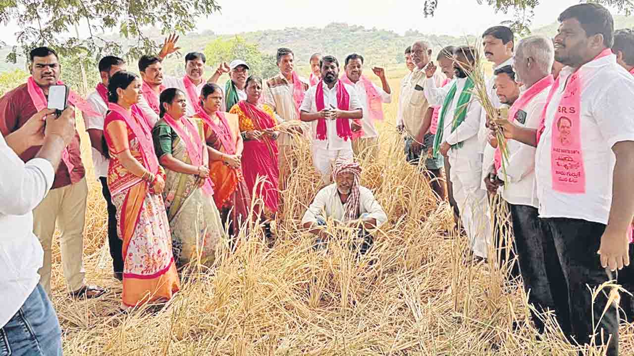 ఎండిన పంట పొలాలు కన్పిస్తలేవా?
