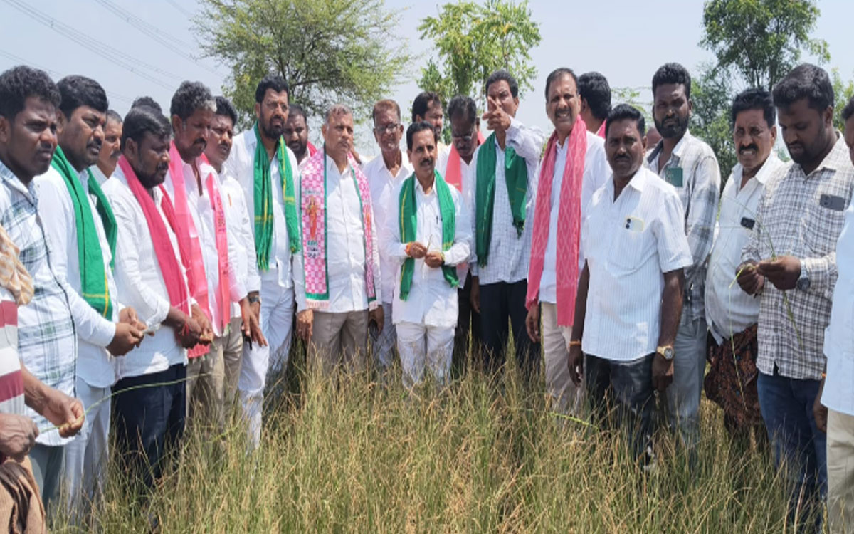 ‘పంట నష్టపోయిన రైతులకు ప్ర‌భుత్వం తక్షణమే పరిహారం అందించాలి’