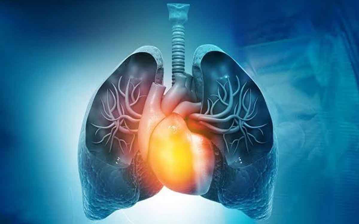Rheumatic Heart Disease | రుమాటిక్ హార్ట్ డిసీజ్ అంటే ఏమిటి.. గొంతు ఇన్‌ఫెక్ష‌న్‌కు దీనికి ఏమిటి సంబంధం..?