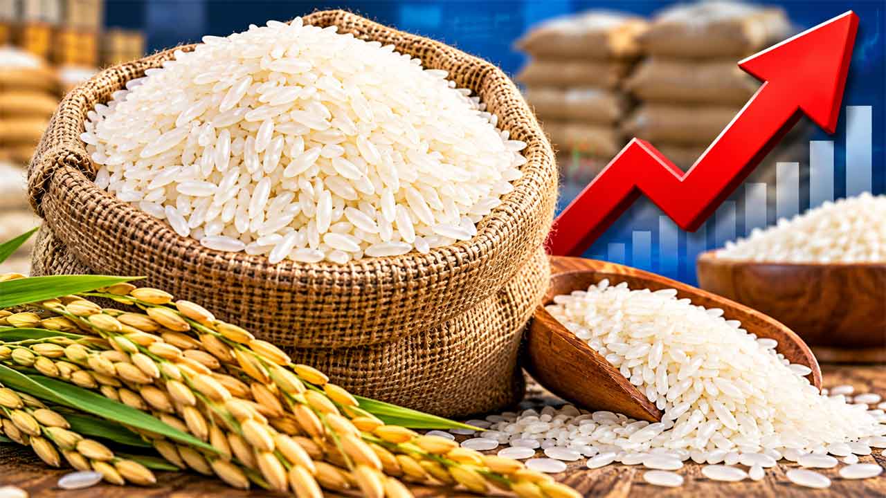 Rice Price | రూ.100కు చేరినసన్నబియ్యం.. మూడు నెలల్లో 30 నుంచి 40 శాతం పెరిగిన కిలో ధర