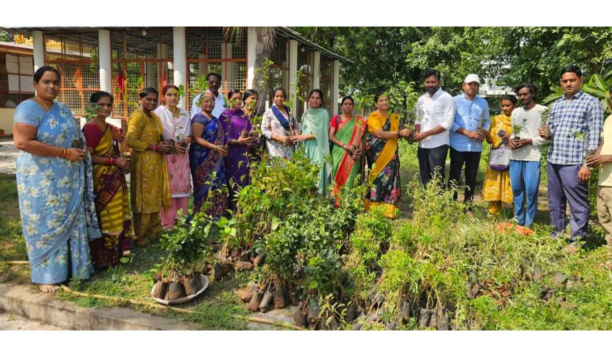 Jagityal | ధరూర్‌ క్యాంపులో మొక్కల పంపిణీ