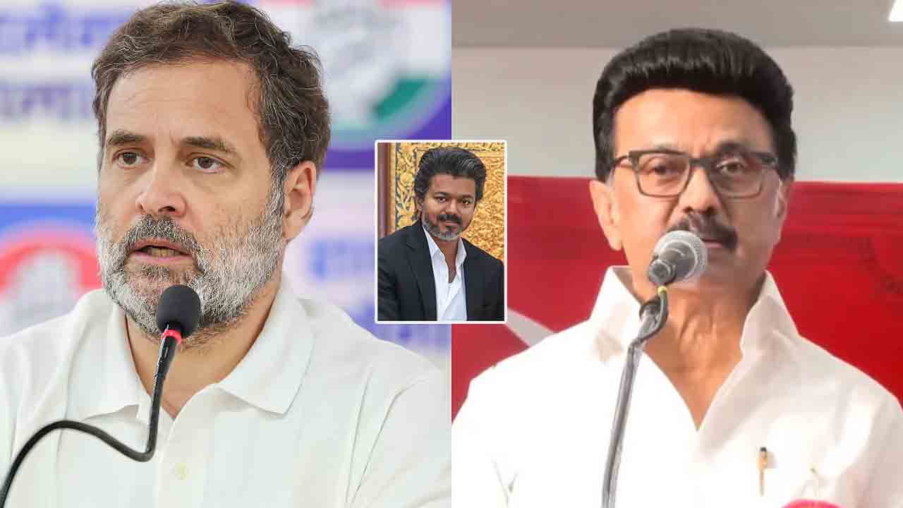 DMK | సీఎం విజ‌య్‌ని చూసి భ‌య‌ప‌డుతున్నారా?.. రాహుల్‌గాంధీపై డీఎంకే ఫైర్‌..!