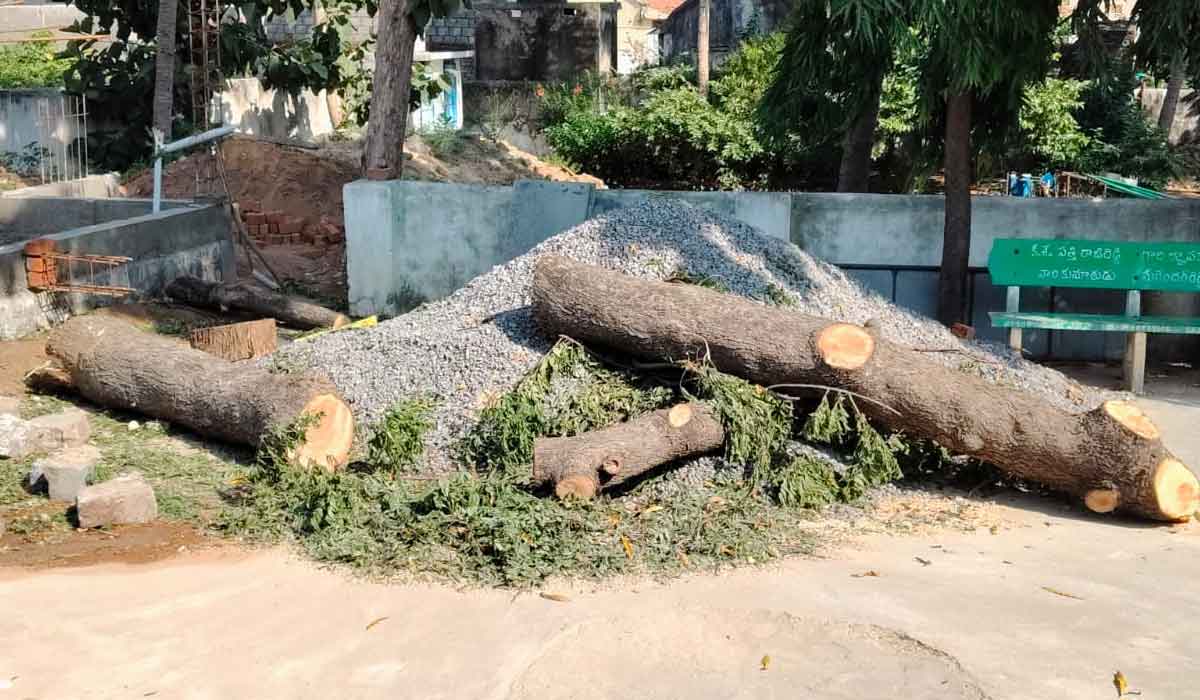 WALTA Act. | చెట్టు నరికివేతపై ఫారెస్ట్ అధికారుల విచారణ.. వాల్టా చట్టం ప్రకారం రూ.1,899 జరిమానా వేసిన అధికారులు