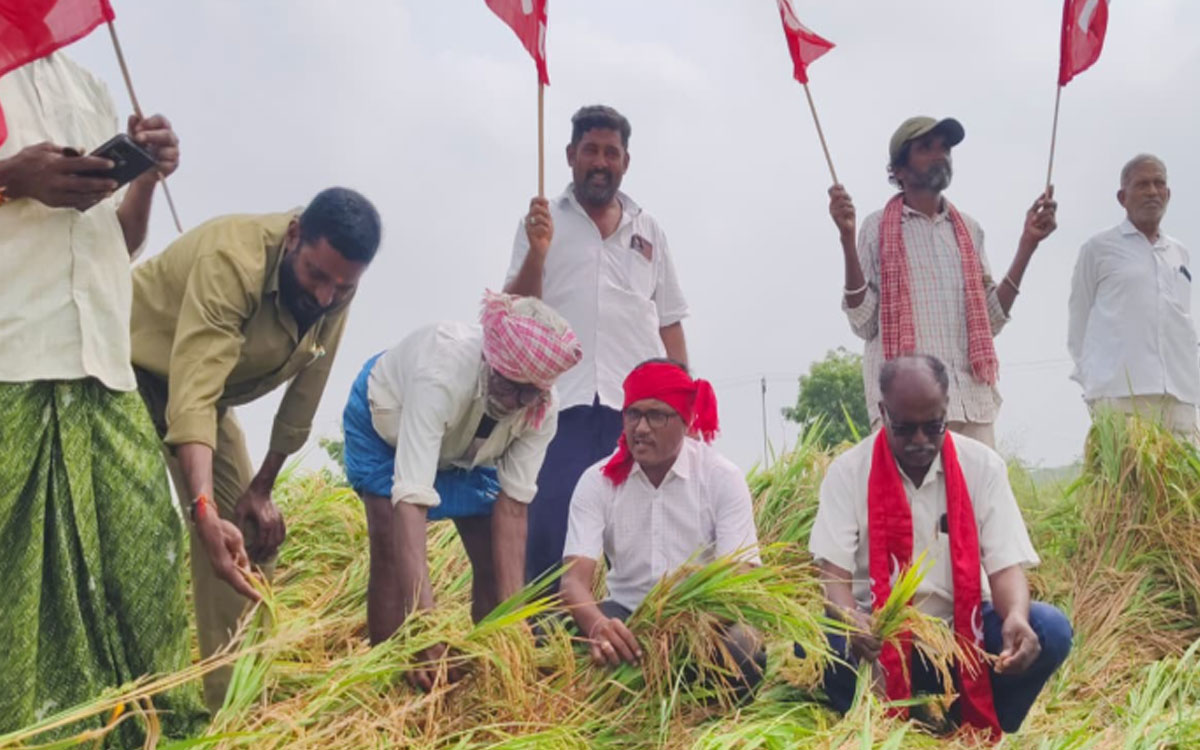 ‘పంటలు నష్టపోయిన రైతులకు పరిహారం అందించాలి’