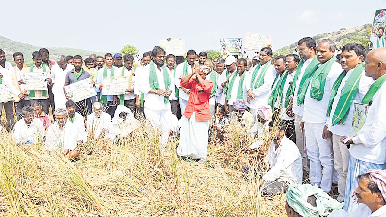 ఎండిన పంటలు కన్పిస్తలేవా?